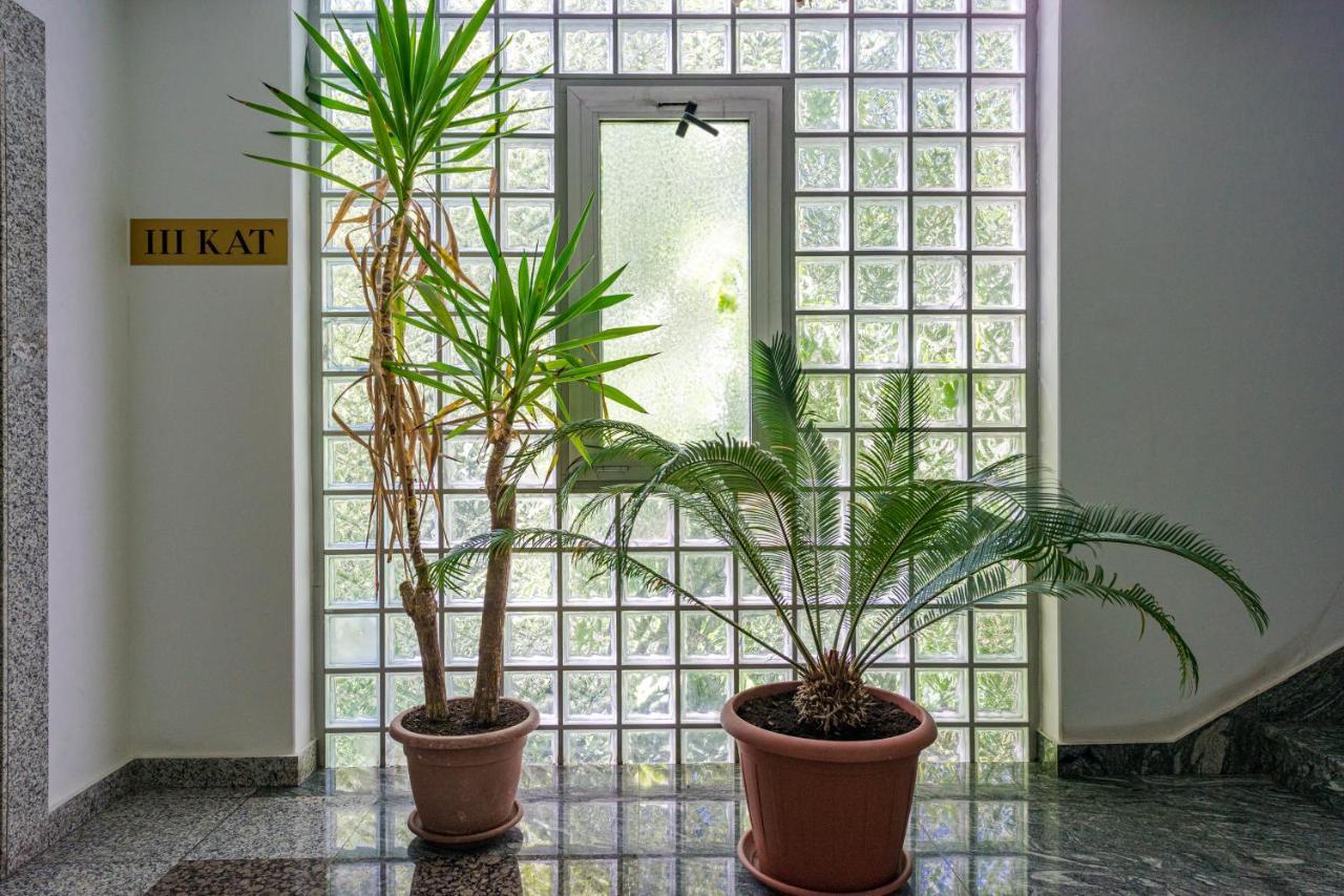 "Didu Studio" 20 Min Walk To Old Town Dubrovnik Buitenkant foto
